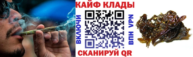 Как найти наркотики Чадан Каннабис  COCAIN  A-PVP  МЕФ  Гашиш 