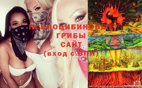 соль ск Алексин