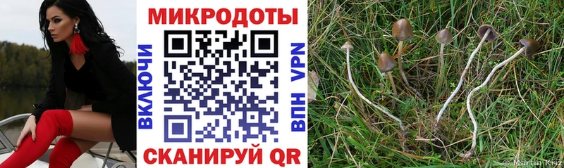 Галлюциногенные грибы MAGIC MUSHROOMS  купить  цена  Чадан 